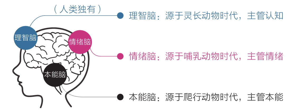 三种情绪
