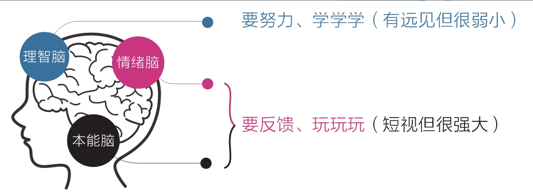 高级元认知