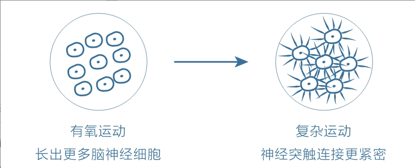高级元认知