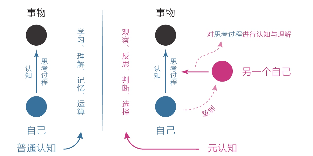 高级元认知
