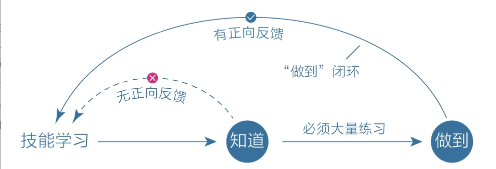 高级元认知