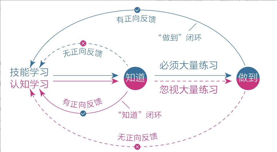 高级元认知