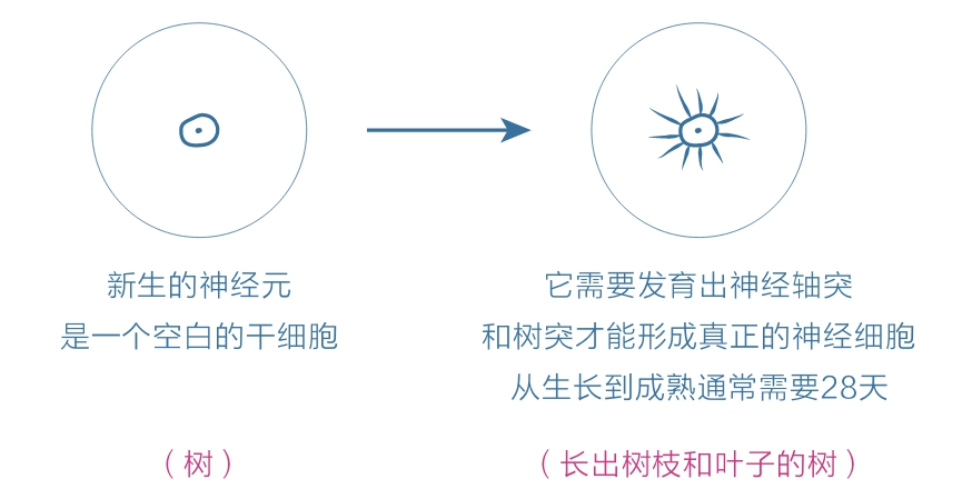 高级元认知
